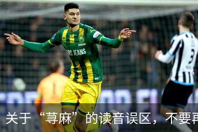 关于“荨麻”的读音误区，不要再犯相同的错误了！