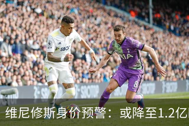 维尼修斯身价预警：或降至1.2亿欧，市场变化不可忽视